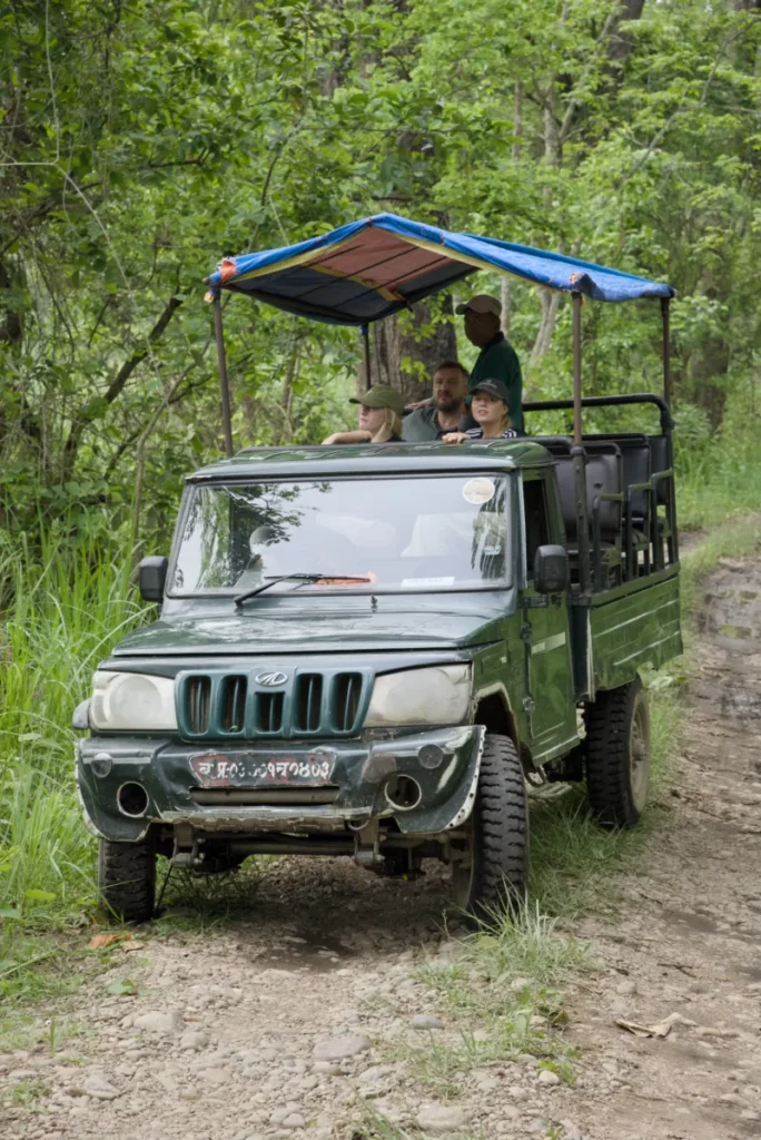 Safari_Chitwan
