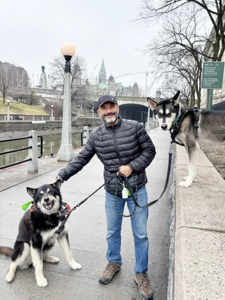 Cuidar casas mientras viajas: hombre paseando dos perros durante una experiencia de housesitting en Ottawa, Canadá