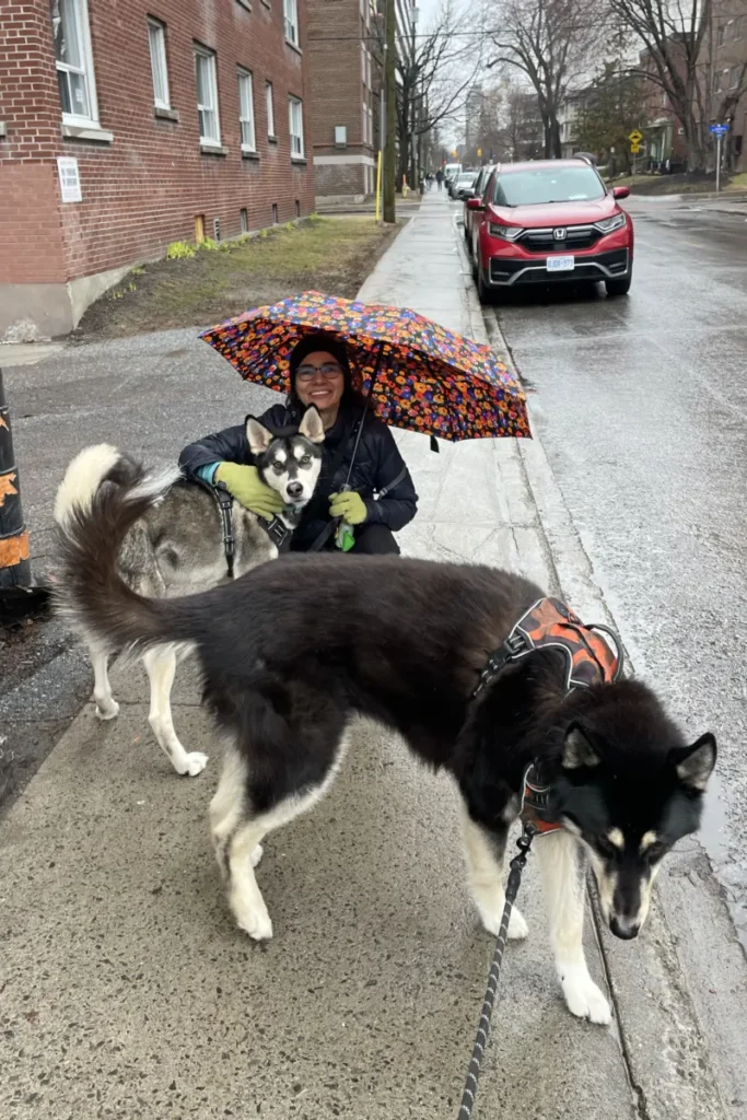 Cuidar casas mientras viajas: mujer paseando dos perros en la lluvia durante su primera experiencia de housesitting en Ottawa, Canadá